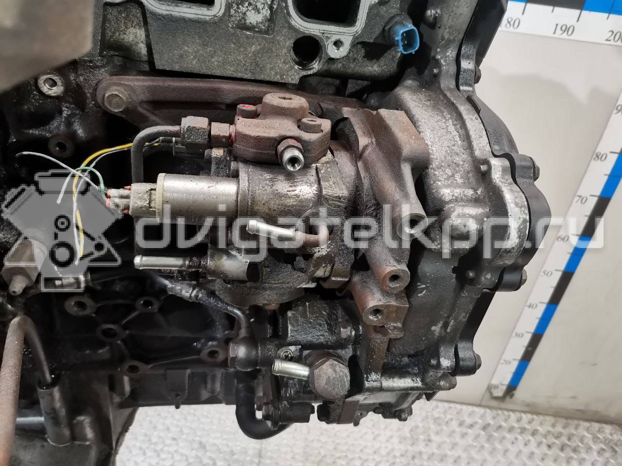 Фото Контрактный (б/у) двигатель YD25DDTi для Nissan Bassara / Nv350 E26 / Serena / Sani / Presage 100-190 л.с 16V 2.5 л Дизельное топливо 10102EB30A {forloop.counter}}