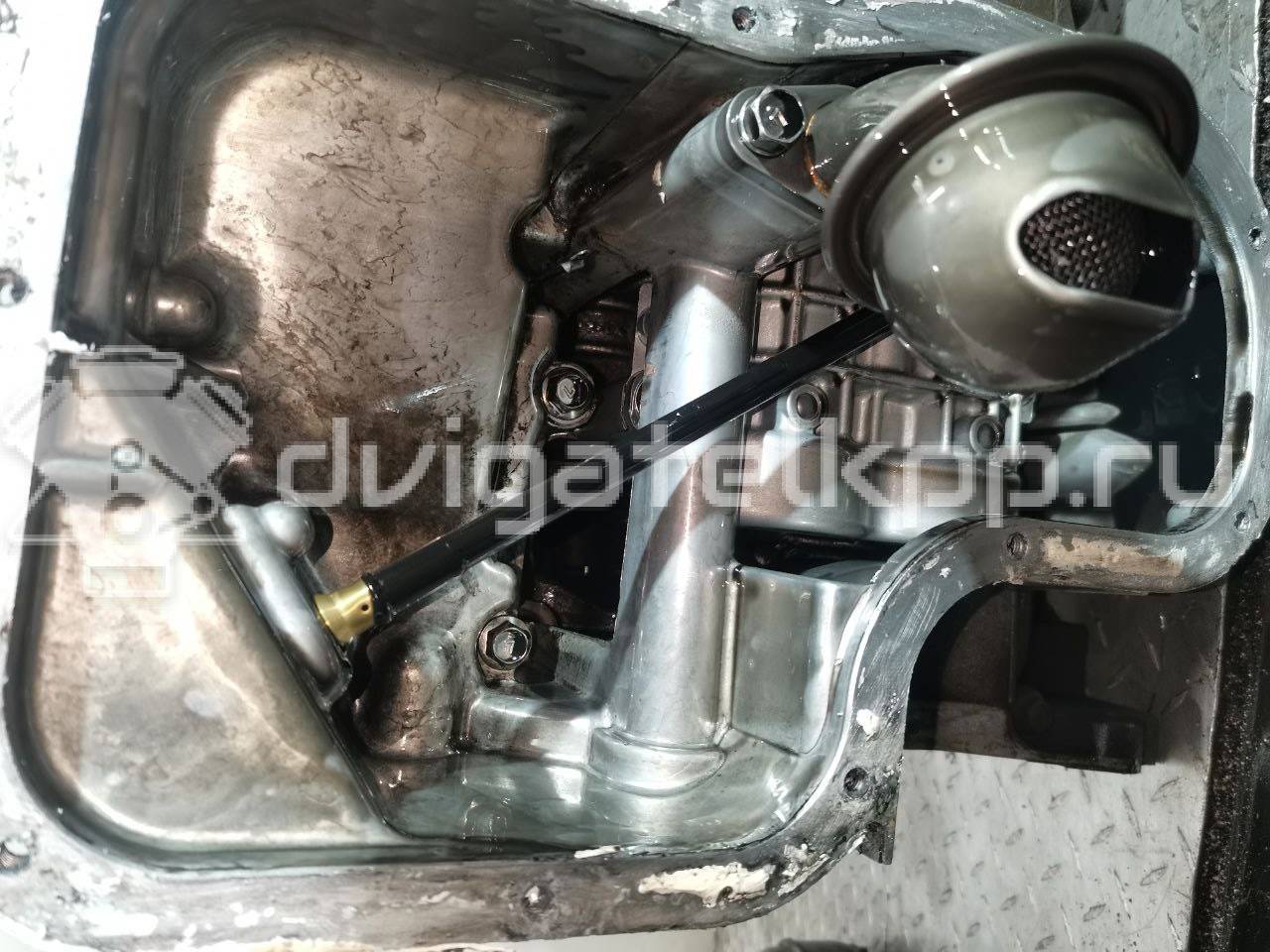 Фото Контрактный (б/у) двигатель YD25DDTi для Nissan Bassara / Nv350 E26 / Serena / Sani / Presage 100-190 л.с 16V 2.5 л Дизельное топливо 10102EB30A {forloop.counter}}