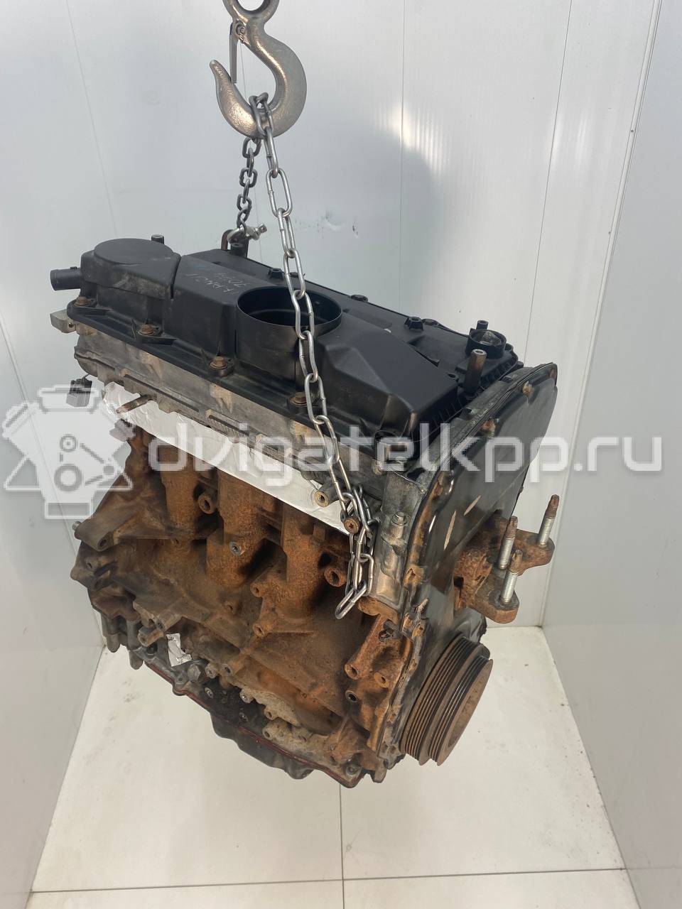 Фото Контрактный (б/у) двигатель P8FB для Ford Transit 85 л.с 16V 2.2 л Дизельное топливо 1709003 {forloop.counter}}