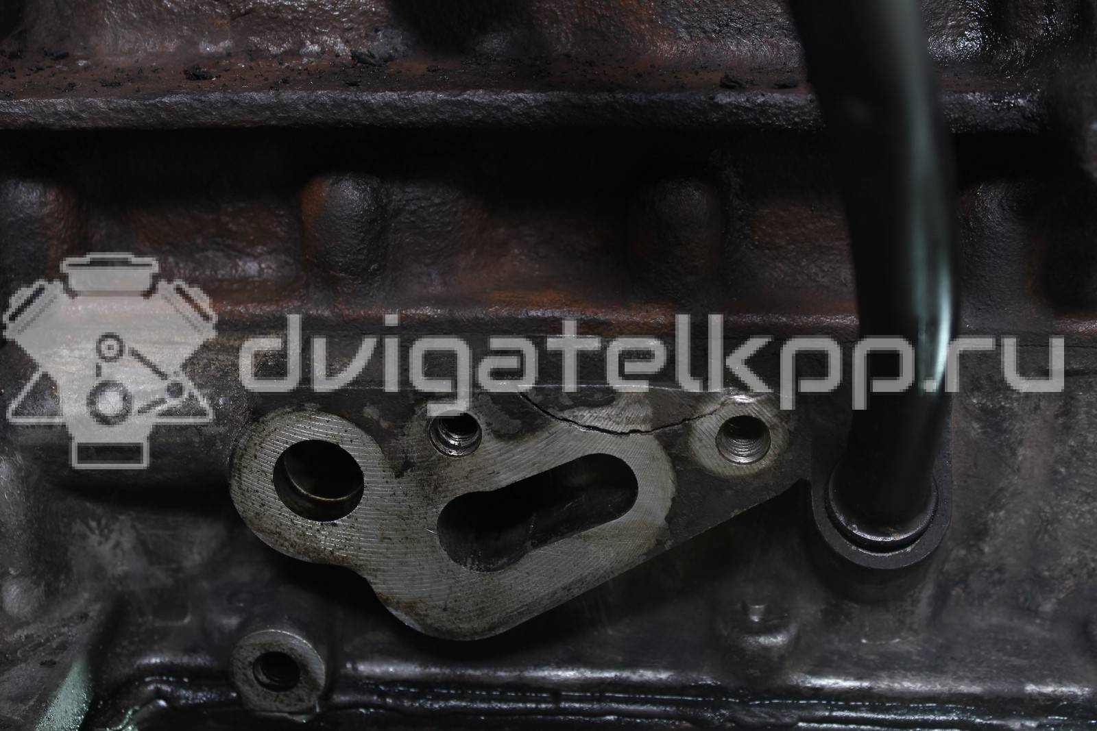 Фото Контрактный (б/у) двигатель QVFA для Ford / Ford Australia 110 л.с 16V 2.2 л Дизельное топливо 1709003 {forloop.counter}}