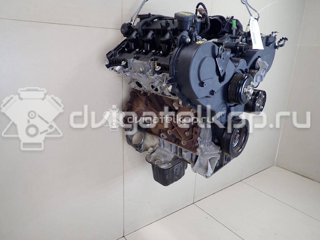 Фото Контрактный (б/у) двигатель 276DT для Ford Australia / Land Rover 190 л.с 24V 2.7 л Дизельное топливо {forloop.counter}}