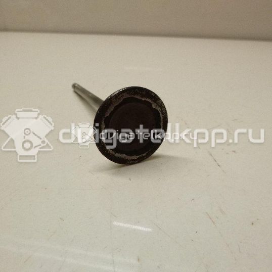 Фото Клапан впускной  7701471378 для nissan Almera (G15)