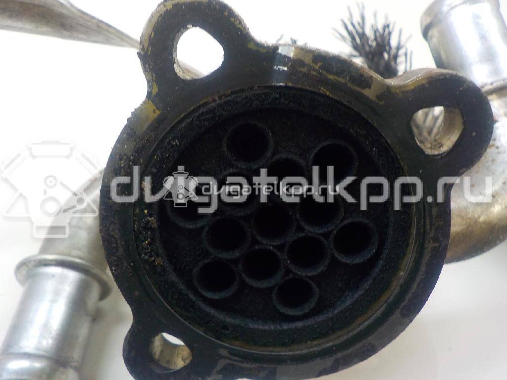 Фото Радиатор системы EGR для двигателя Z 13 DT для Opel / Chevrolet / Vauxhall / Subaru 70 л.с 16V 1.2 л Дизельное топливо 93184579 {forloop.counter}}