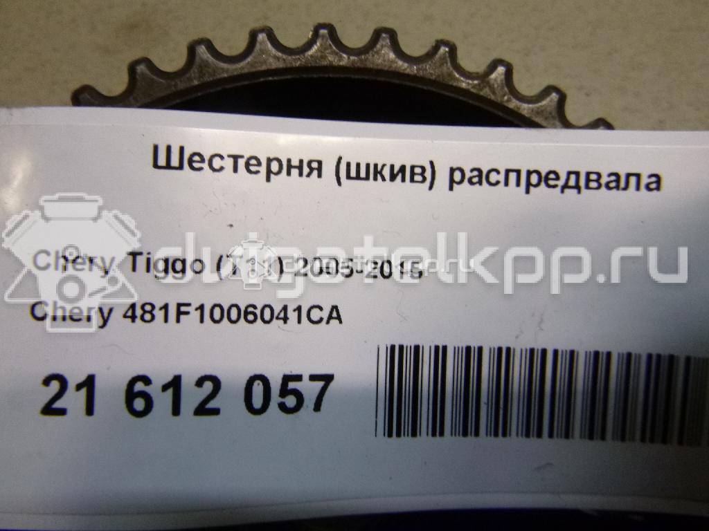 Фото Шестерня (шкив) распредвала  481f1006041ca для Chery / Dr {forloop.counter}}