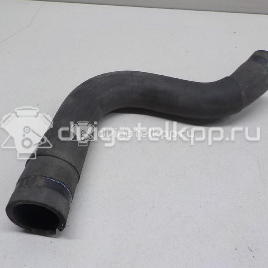 Фото Патрубок радиатора  51790620 для Fiat Doblo