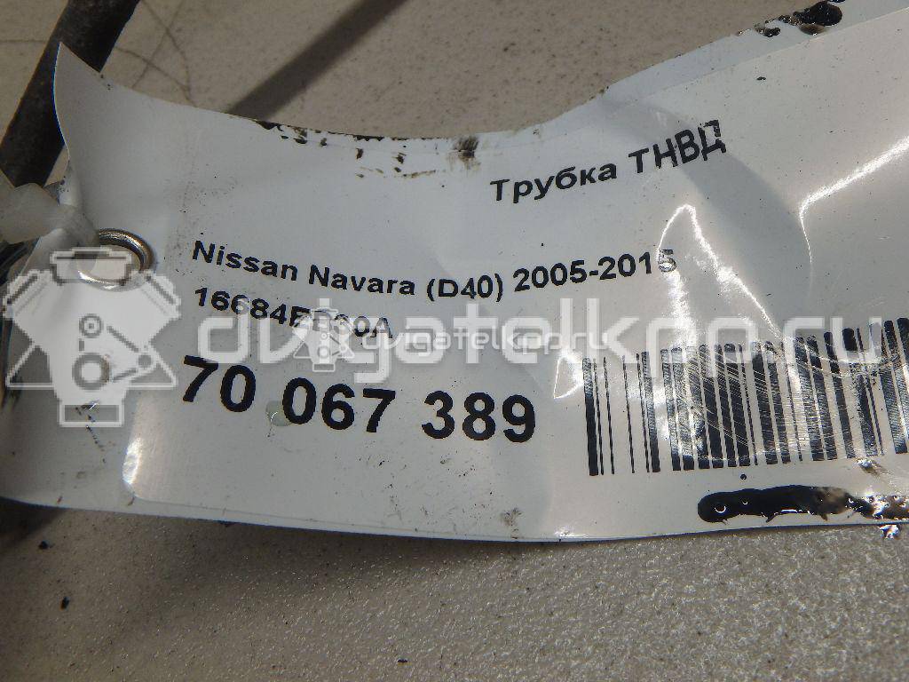 Фото Трубка ТНВД для двигателя YD25DDTi для Nissan Bassara / Nv350 E26 / Serena / Sani / Presage 100-190 л.с 16V 2.5 л Дизельное топливо 16684EB30A {forloop.counter}}