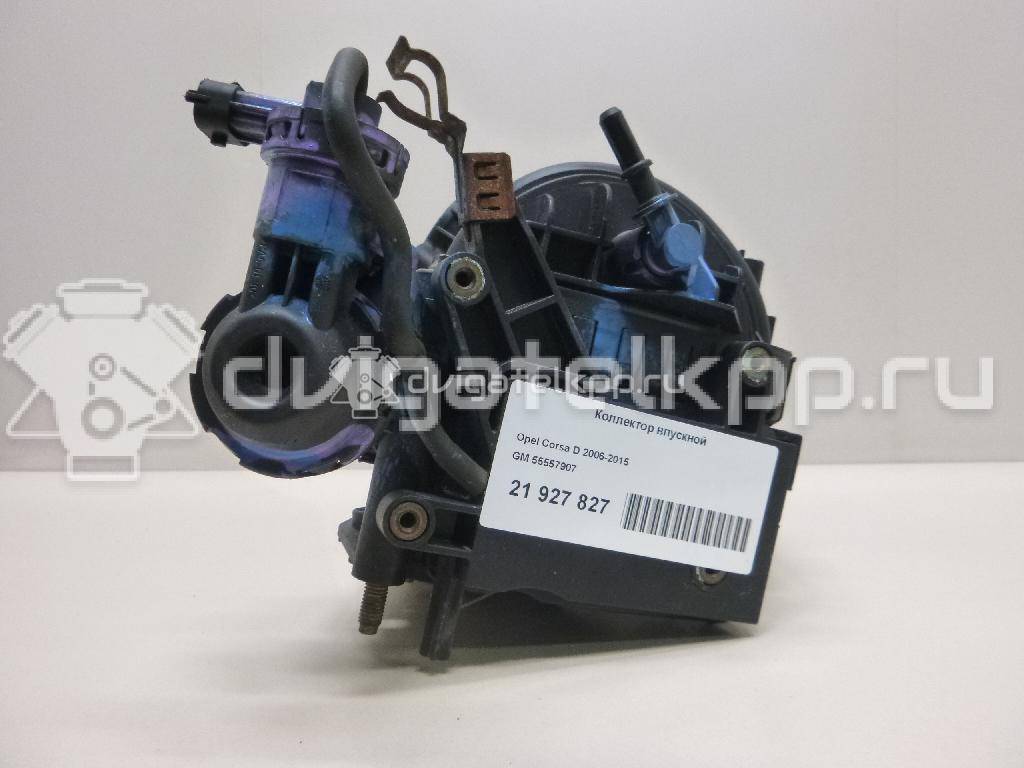 Фото Коллектор впускной для двигателя Z 12 XEP для Opel / Suzuki / Vauxhall 75-80 л.с 16V 1.2 л бензин 55557907 {forloop.counter}}