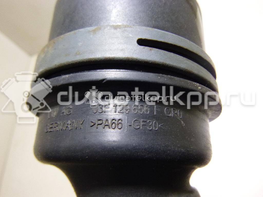 Фото Коллектор впускной для двигателя CBZB для Volkswagen / Seat 105 л.с 8V 1.2 л бензин 03F129656F {forloop.counter}}