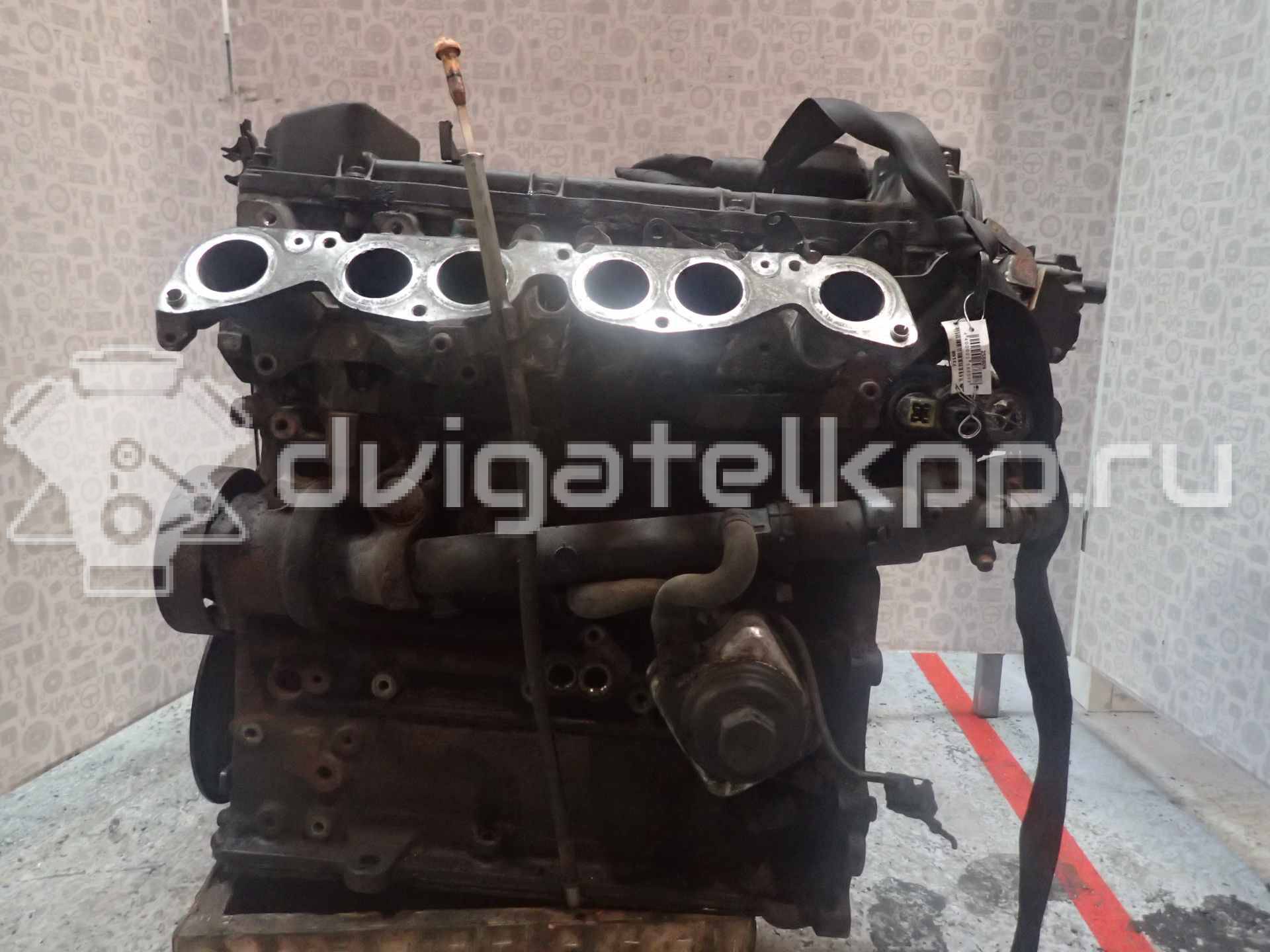 Фото Контрактный (б/у) двигатель AAA для Volkswagen Passat / Vento 1H2 / Golf 163-174 л.с 12V 2.8 л Супер-бензин (95) неэтилированный {forloop.counter}}