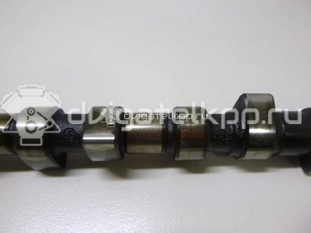 Фото Распредвал для двигателя RP для Volkswagen Jetta / Golf 90 л.с 8V 1.8 л бензин 026109101Q {forloop.counter}}