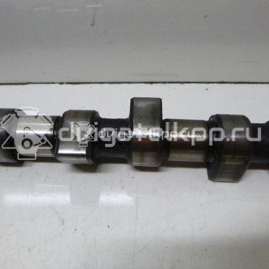 Фото Распредвал для двигателя 1F для Volkswagen Passat / Saveiro / Polo / Caddy 72 л.с 8V 1.6 л бензин 026109101M