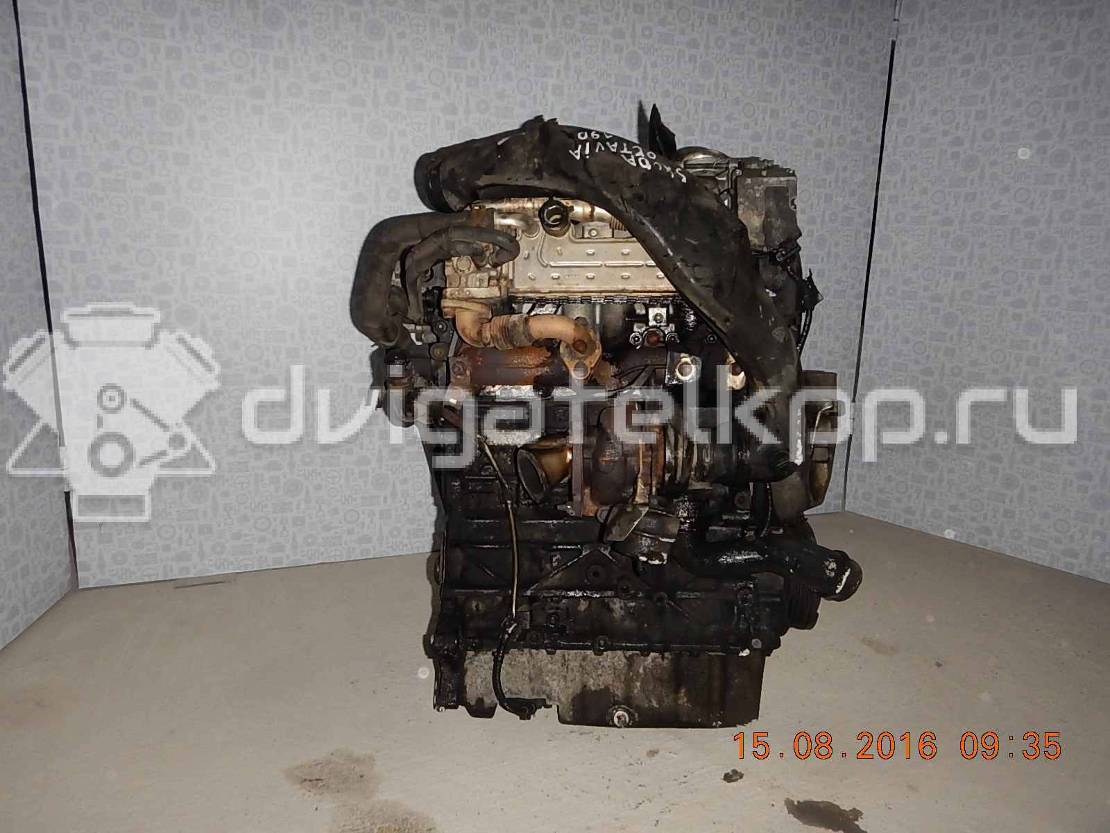 Фото Контрактный (б/у) двигатель AXR для Skoda Roomster 5J / Fabia / Octavia 100 л.с 8V 1.9 л Дизельное топливо {forloop.counter}}