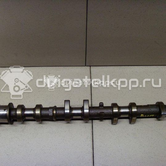 Фото Распредвал выпускной для двигателя 2AZ-FE для Toyota Camry / Alphard / Harrier / Matrix / Vanguard A3 152-173 л.с 16V 2.4 л бензин 1350228030