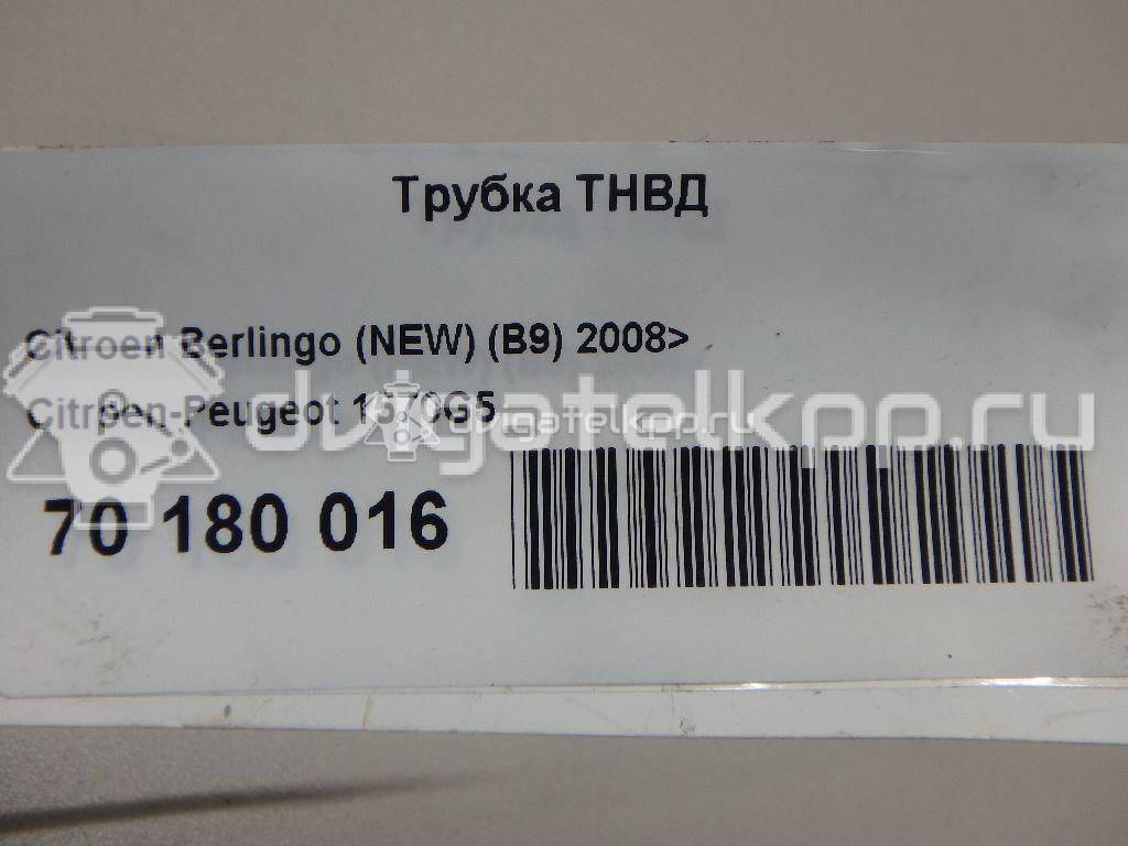 Фото Трубка ТНВД для двигателя 9HZ (DV6TED4) для Citroen Berlingo / C3 / C2 Jm / C5 109 л.с 16V 1.6 л Дизельное топливо 1570G5 {forloop.counter}}