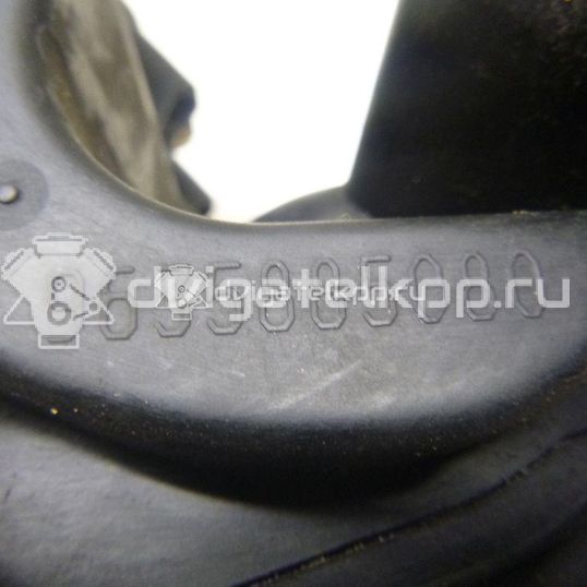 Фото Коллектор впускной для двигателя NFR (TU5JP4B) для Citroen Berlingo 90 л.с 16V 1.6 л бензин 0342H1