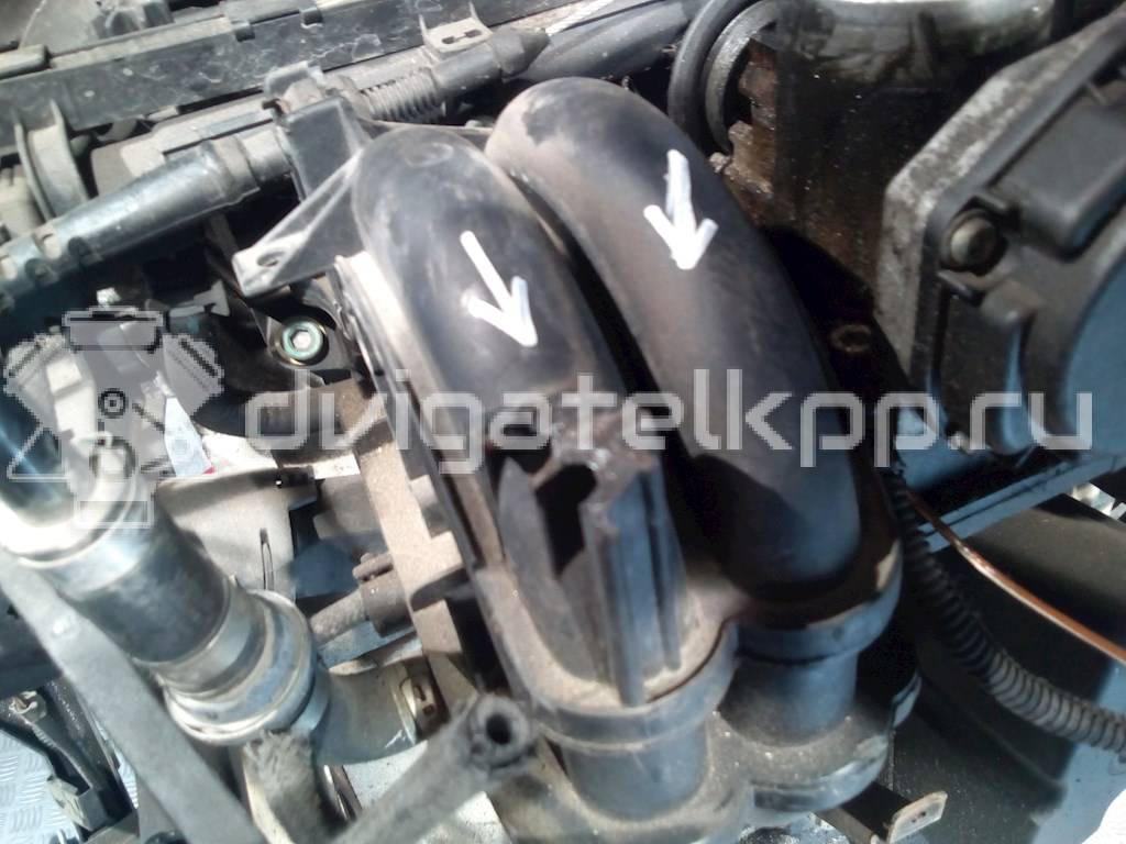 Фото Контрактный (б/у) двигатель AEE для Volkswagen Polo / Caddy / Vento 1H2 / Golf 75 л.с 8V 1.6 л бензин {forloop.counter}}