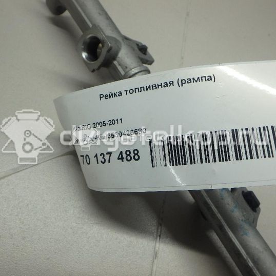 Фото Рейка топливная (рампа) для двигателя G4EE для Hyundai Accent / Getz Tb 97 л.с 16V 1.4 л бензин 3530426680