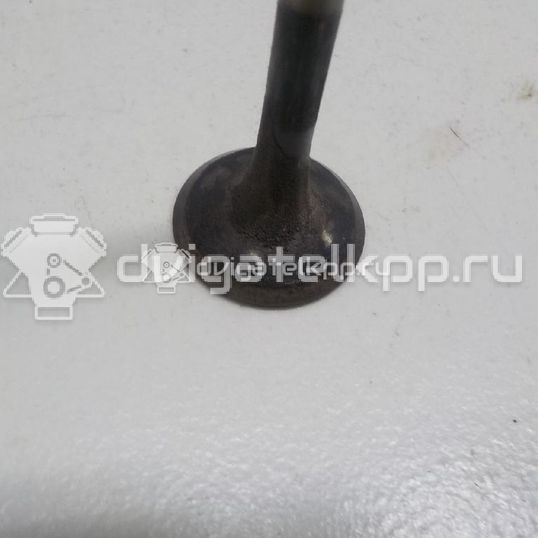 Фото Клапан выпускной  036109611K для Seat Ibiza / Cordoba / Leon / Toledo / Alhambra